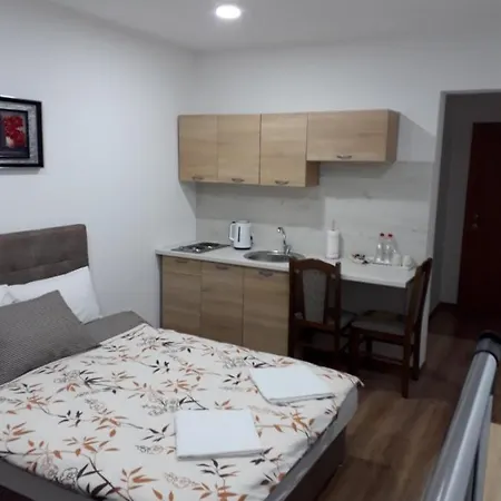 公寓 Karic Aerodrom Tuzla