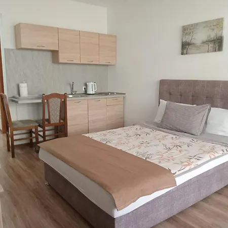 Karic Aerodrom Tuzla *