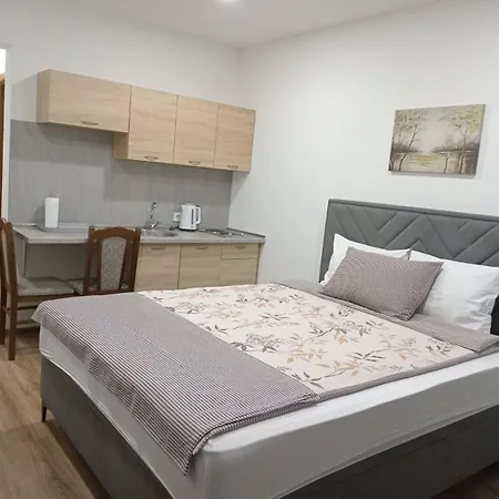 Karic Aerodrom Tuzla Apartmán