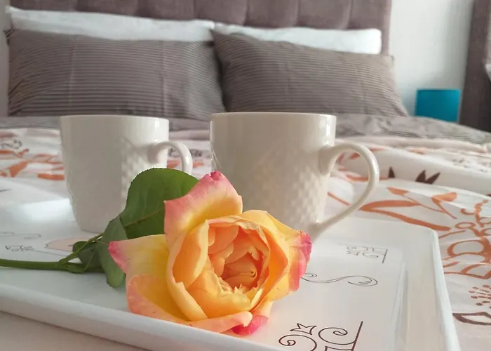 Karic Aerodrom Tuzla *