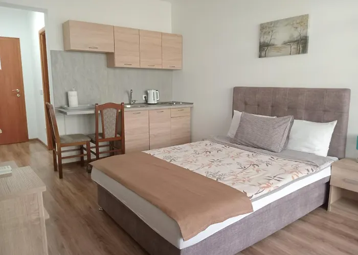 Karic Aerodrom Tuzla *