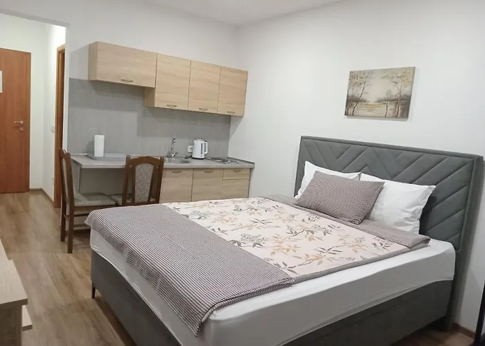 Karic Aerodrom Tuzla Apartmán